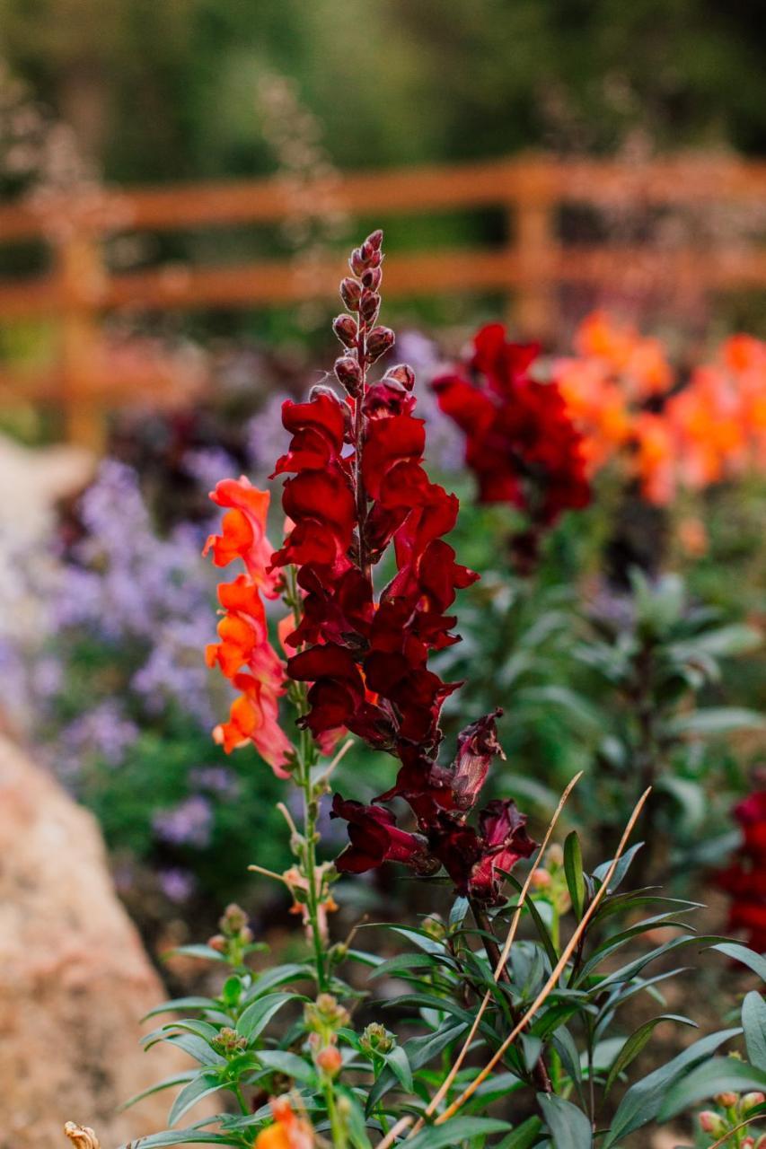 Pine River Ranch B&B Lake Wenatchee Luaran gambar